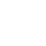 Festo_logo